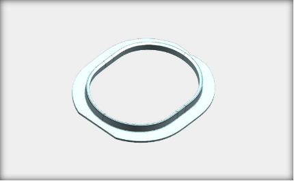 Fingerprint ring